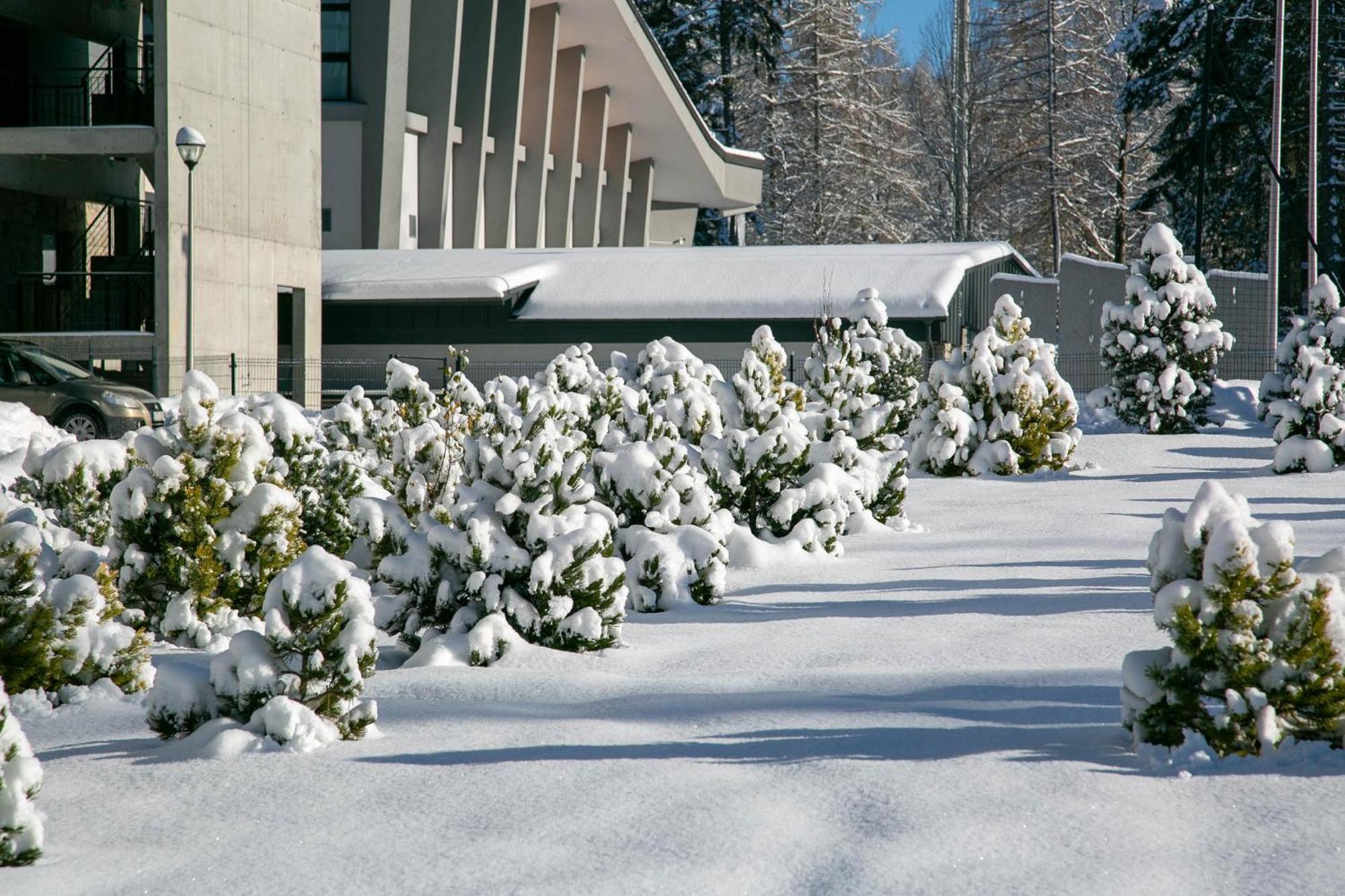 Gorskie Szczyty Apart & Spa Apartament 11 Sauna Jacuzzi I Parking W Cenie Zakopane Exterior foto